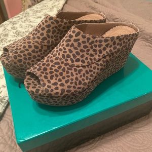 Chocolate Blu wedges